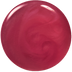 Sugar Plum Thumbnail